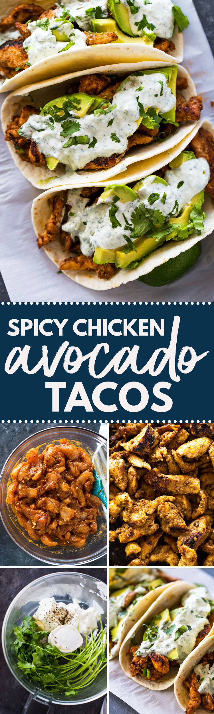 Chicken and Avocado Tacos with Creamy Cilantro Sauce
