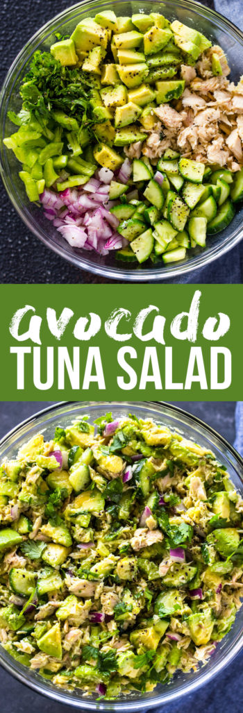 Avocado Tuna Salad Gimme Delicious 0163