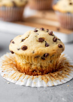 Chocolate Chip Muffins | Gimme Delicious